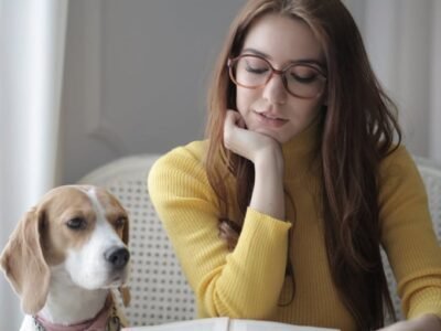 Begin Teaching Online Full Time